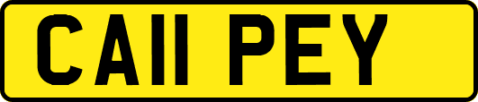 CA11PEY