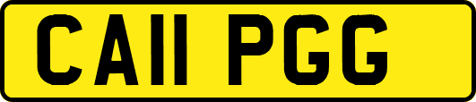 CA11PGG