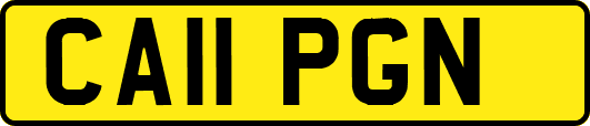 CA11PGN