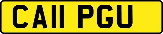 CA11PGU