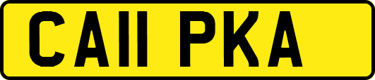 CA11PKA