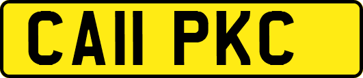 CA11PKC