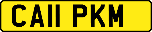 CA11PKM