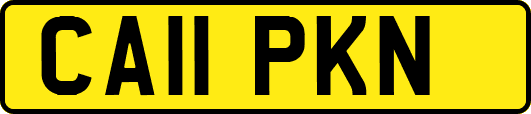 CA11PKN