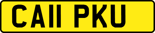 CA11PKU