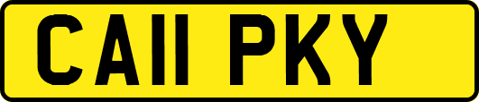 CA11PKY