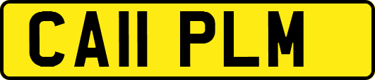 CA11PLM