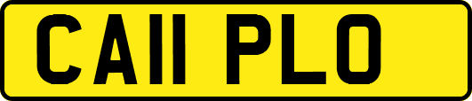 CA11PLO
