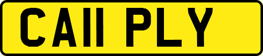 CA11PLY