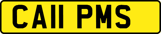 CA11PMS