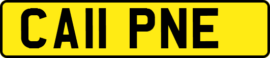 CA11PNE