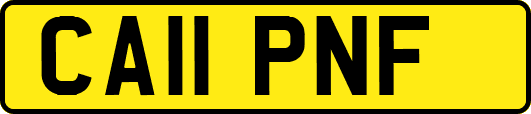 CA11PNF