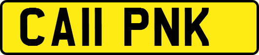 CA11PNK