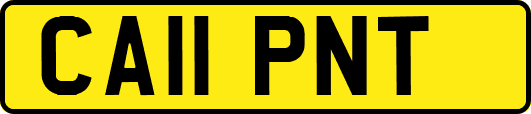 CA11PNT