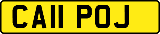 CA11POJ