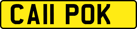 CA11POK