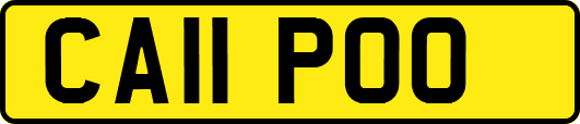 CA11POO