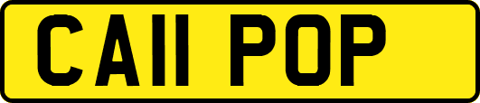 CA11POP
