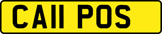 CA11POS