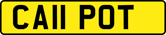 CA11POT