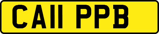 CA11PPB