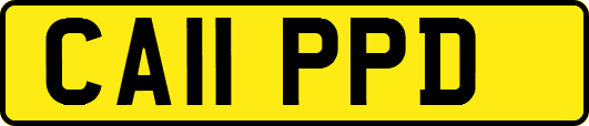 CA11PPD