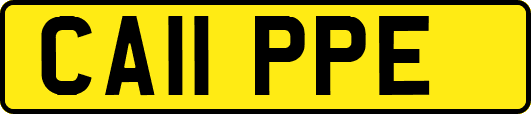 CA11PPE