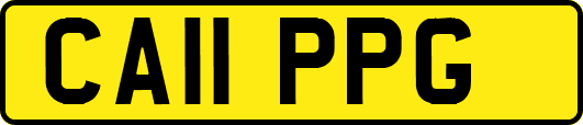 CA11PPG