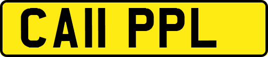 CA11PPL