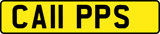 CA11PPS