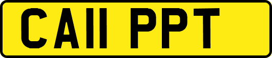 CA11PPT