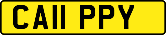 CA11PPY