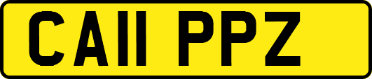 CA11PPZ