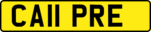 CA11PRE