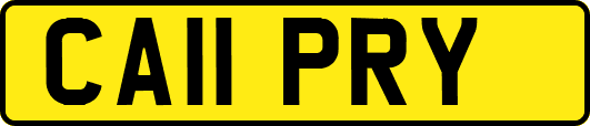 CA11PRY