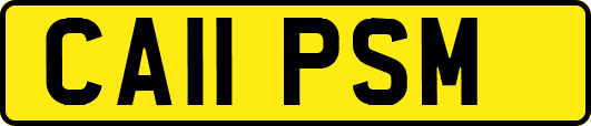 CA11PSM