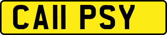 CA11PSY