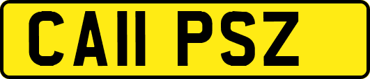 CA11PSZ