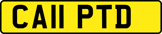 CA11PTD