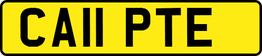 CA11PTE