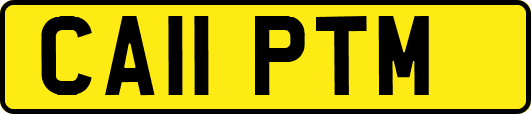 CA11PTM