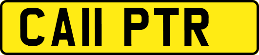 CA11PTR
