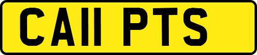 CA11PTS