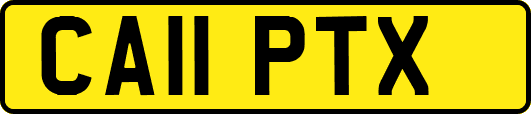 CA11PTX