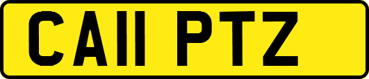 CA11PTZ