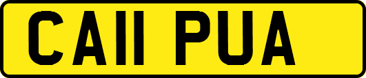 CA11PUA