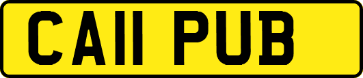 CA11PUB