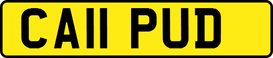 CA11PUD