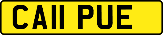 CA11PUE