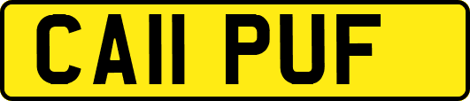CA11PUF